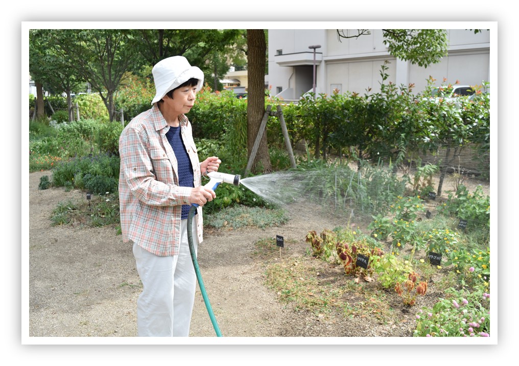 水やりの様子