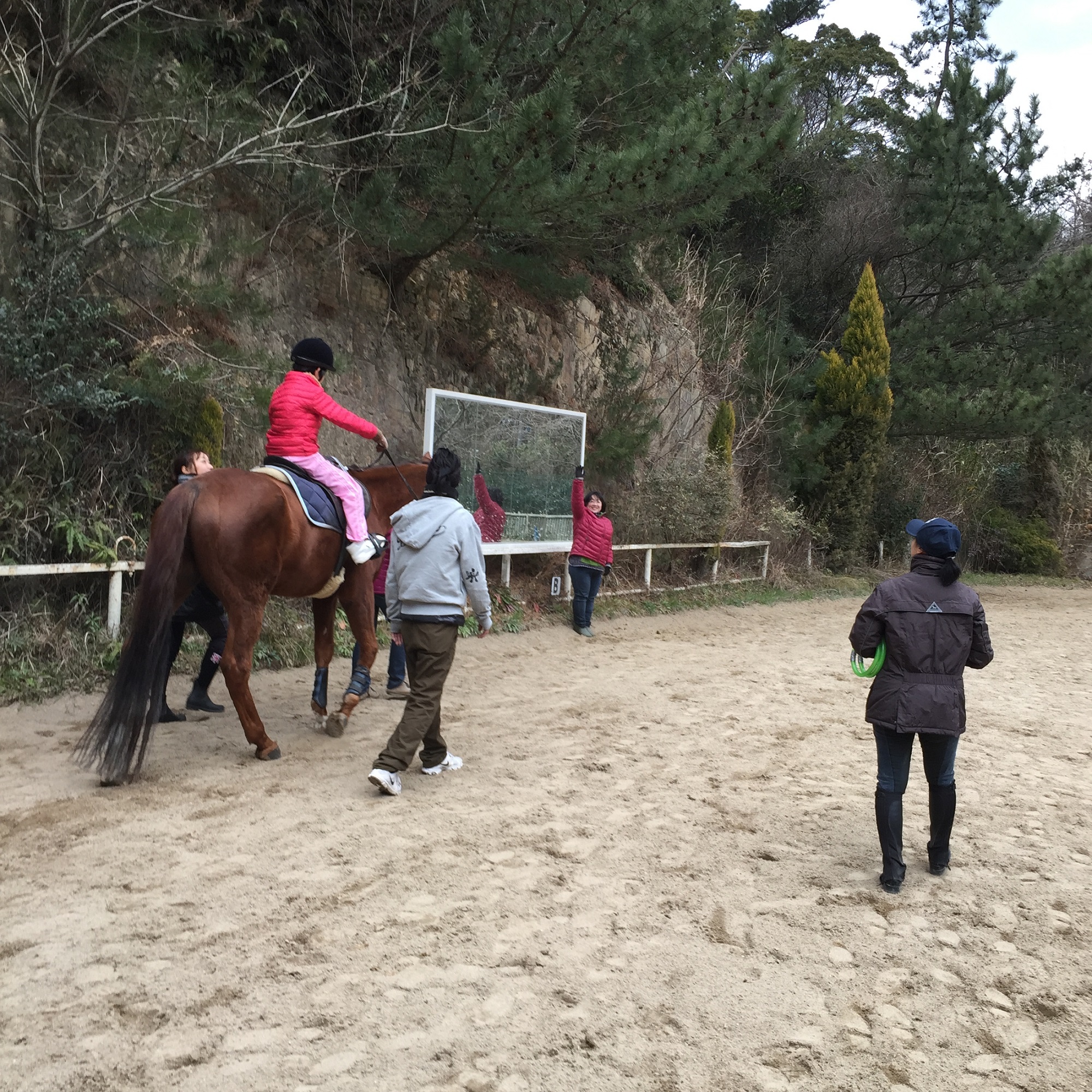 障がい者乗馬活動のボランティア募集