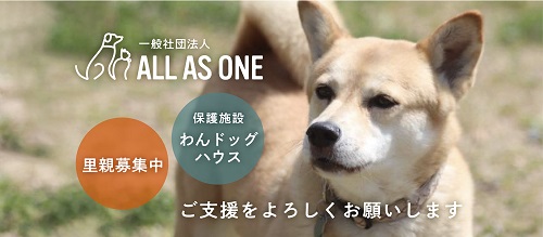 保護犬のお世話ボランティアさん