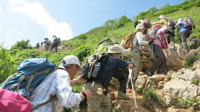 登山中の様子（伊吹山）の写真