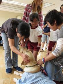 盲導犬と触れ合っている様子