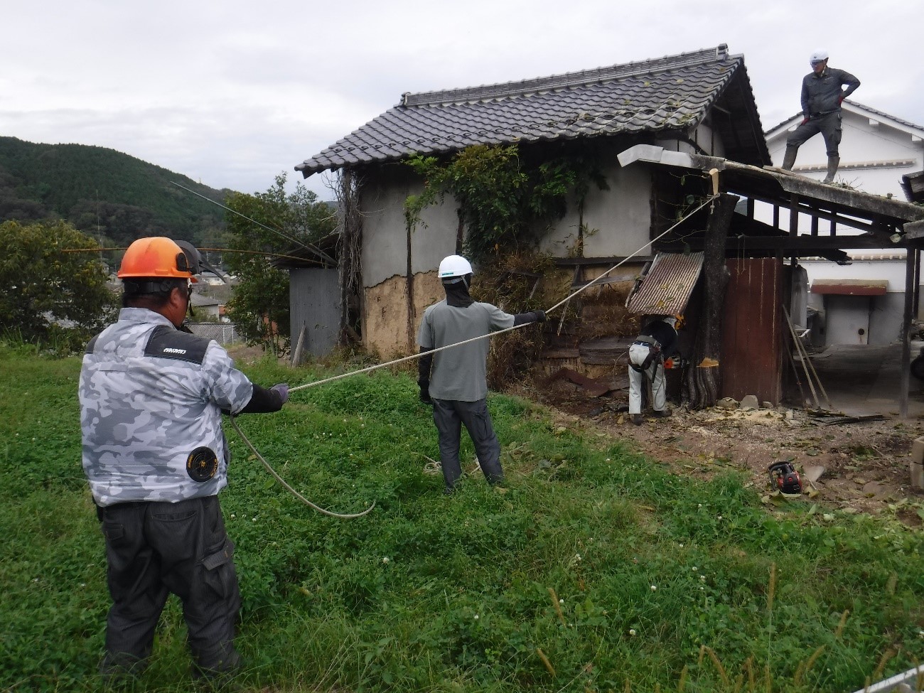 建物を突き破って生えた木を伐採している様子