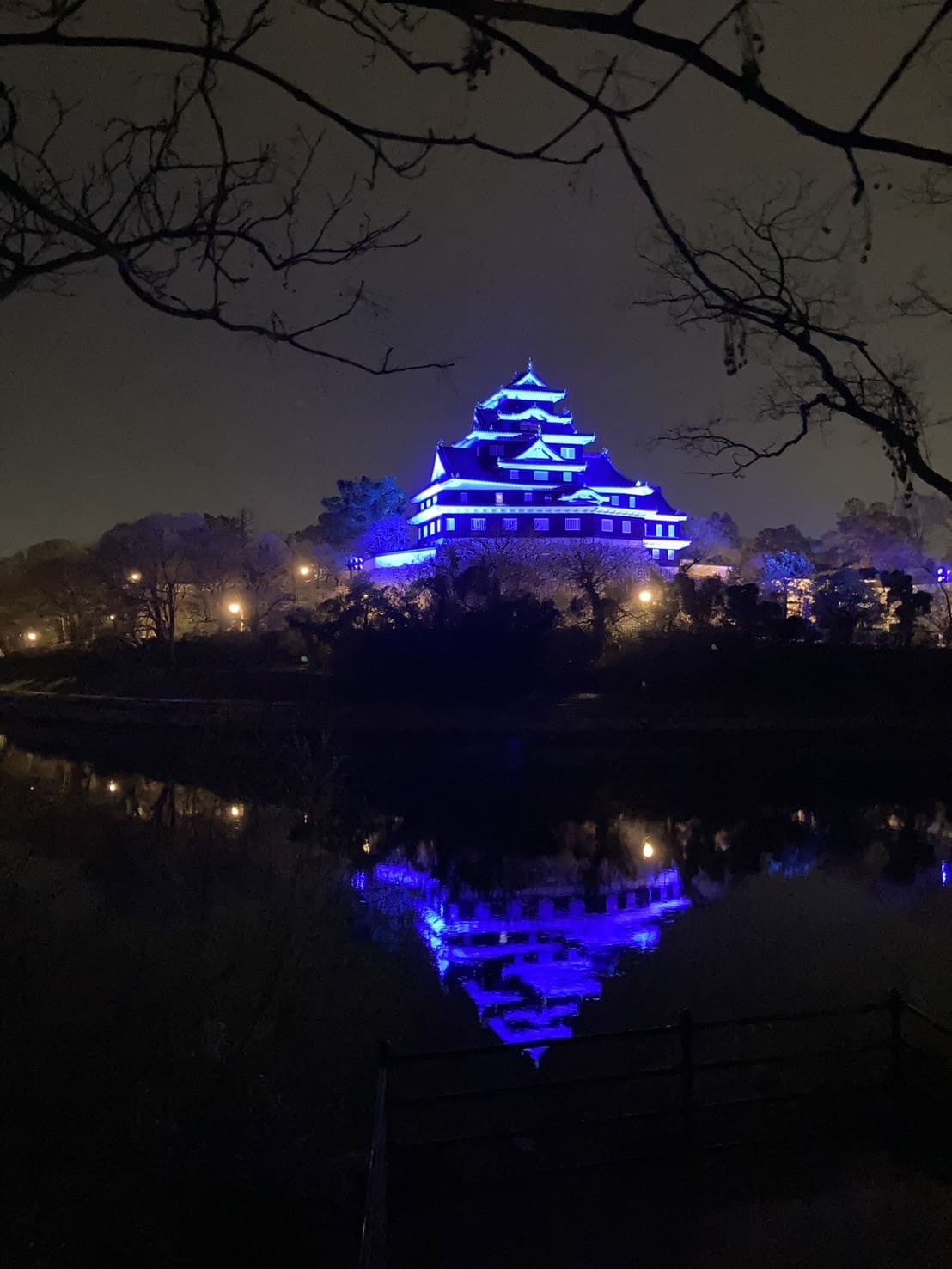 ライトアップ岡山城