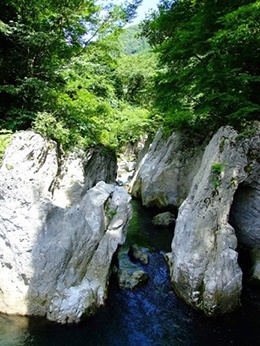 竜宮岩の写真