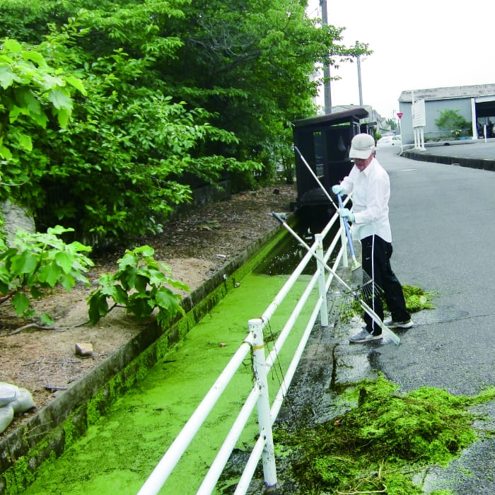 川の溝掃除をしている写真