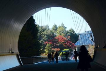 MIHO MUSEUM