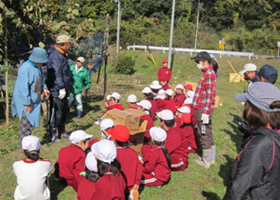 キウイの収穫を学ぶ子供達