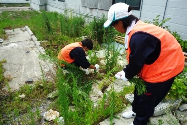 生徒が草取りをしている様子