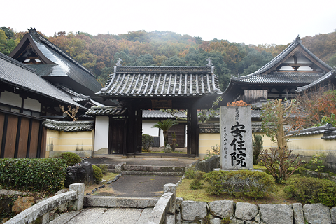 禅光寺安住院の写真