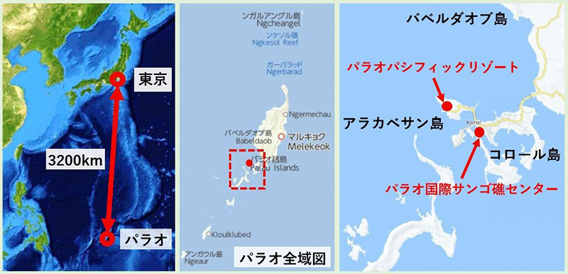 パラオの位置を示した地図