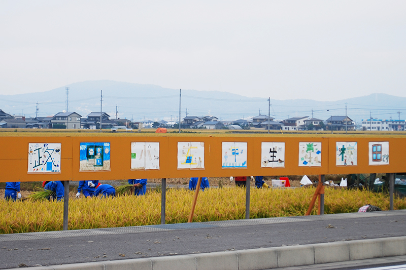 政田小学校の田んぼ