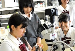 高校生（ノートルダム清心学園清心中学校・清心女子高等学校生物部）