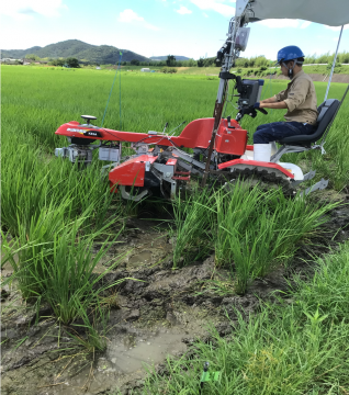 中耕除草の様子