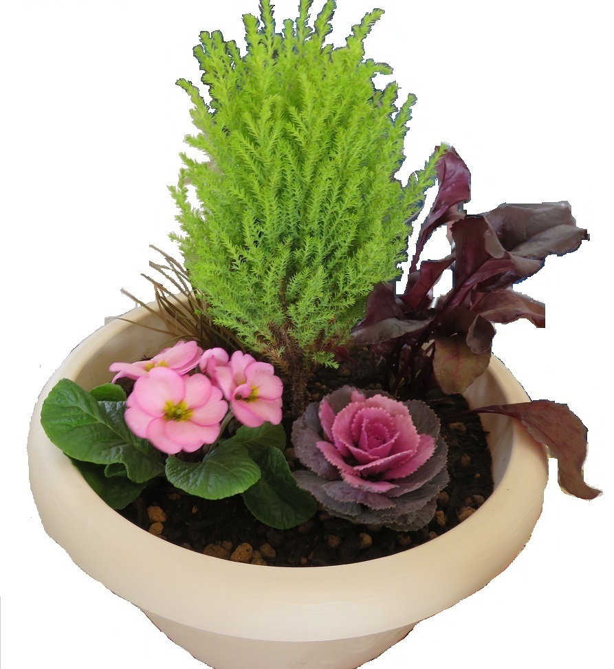 ガーデニング教室