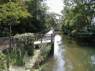 西川緑道公園：ホタル沢