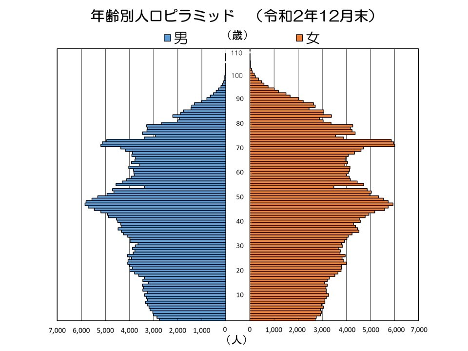 0歳から100歳までの年齢別人口を男女別で表したグラフ