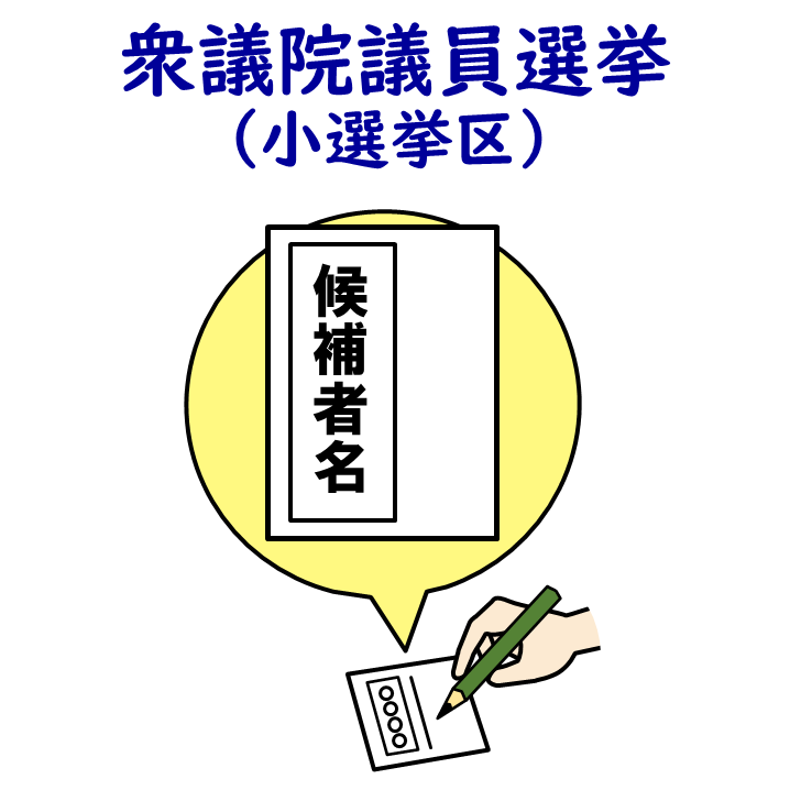 衆議院小選挙区選出議員選挙は、候補者名を書いてください。